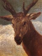 VELAZQUEZ, Diego Rodriguez de Silva y Deer oil painting on canvas